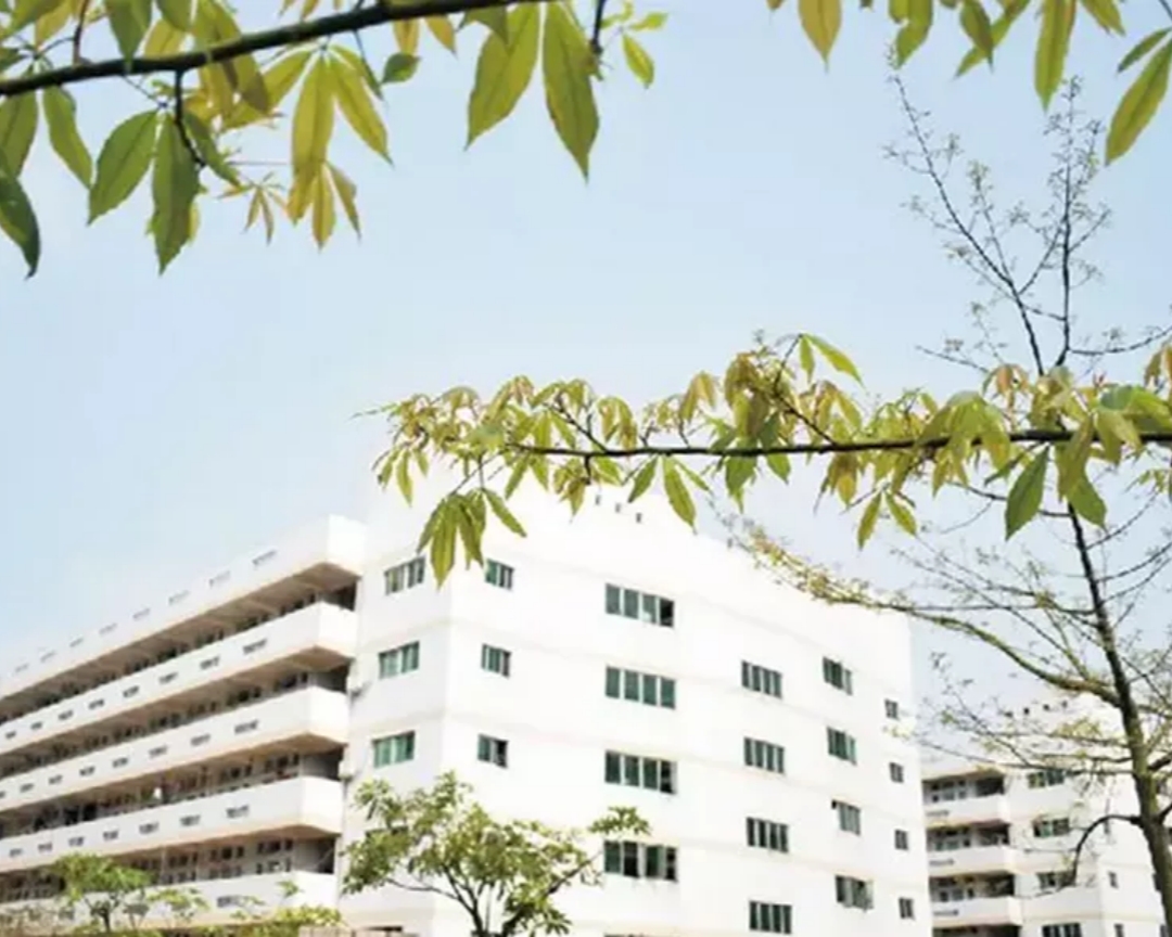 GD深圳市华夏技工学校12.jpg