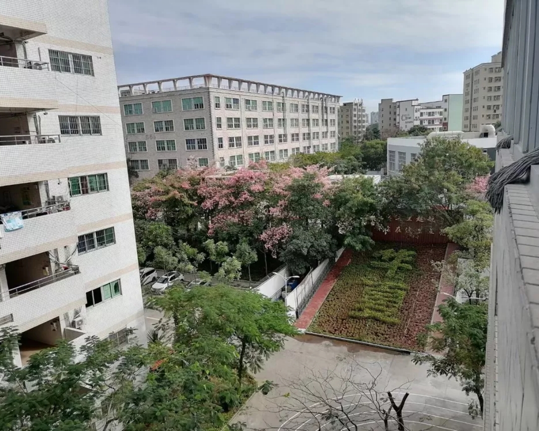 GD深圳市华夏技工学校14.jpg