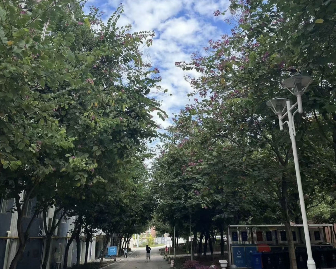 07.jpg