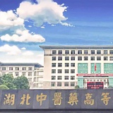 湖北中医药高等专科学校