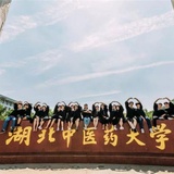 湖北中医药大学