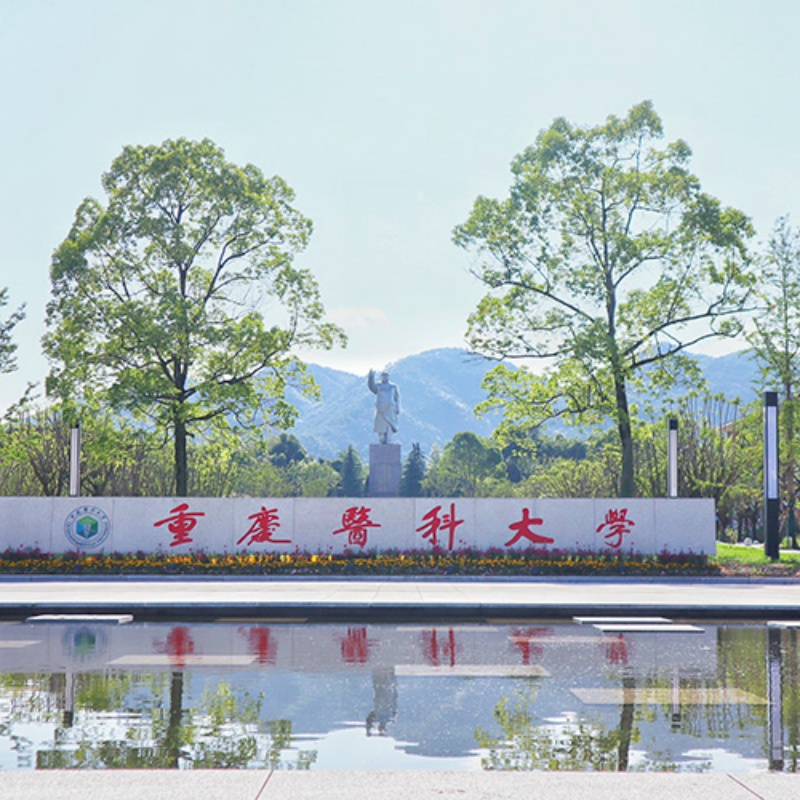 重庆医科大学国际医学院