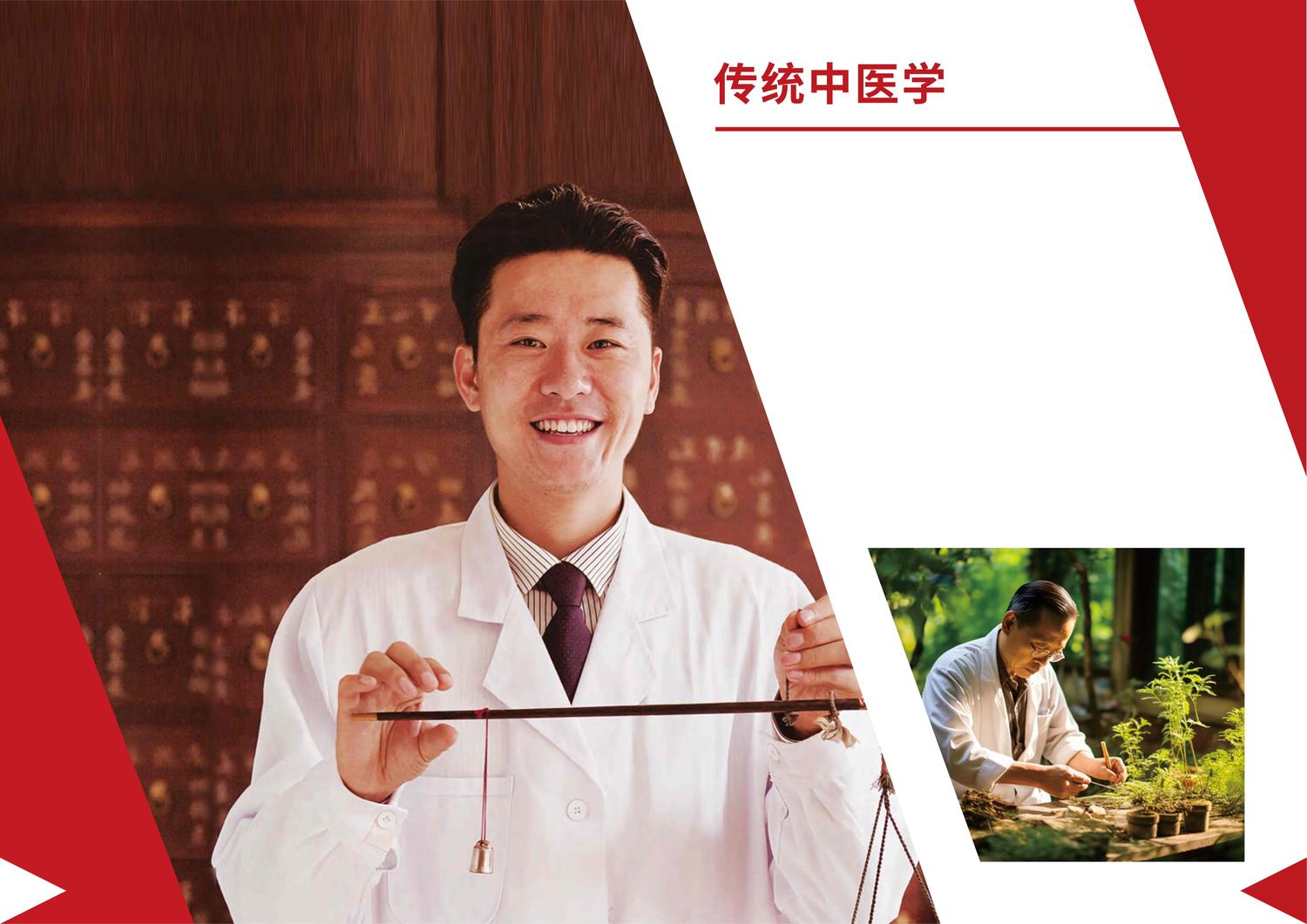 英迪国际大学（中医学士学位）项目03.jpg
