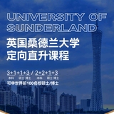 英国桑德兰大学 3+1 国际本科班